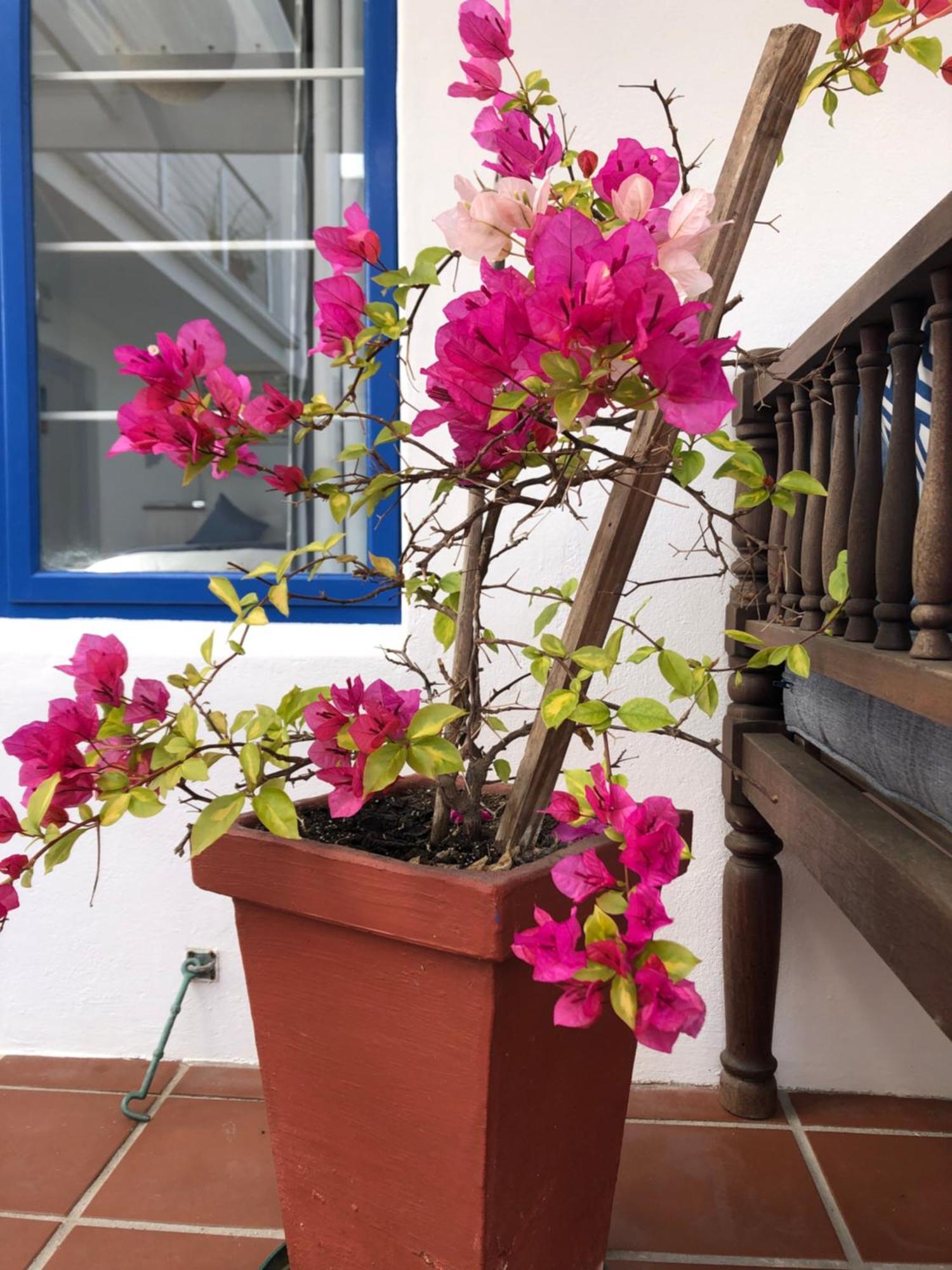 Bluesky Arniston Guest House Экстерьер фото